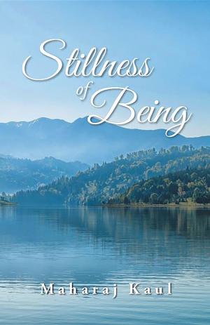 Cover of the book Stillness of Being by Anita Venturi