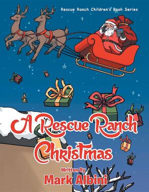 Book cover of A Rescue Ranch Christmas