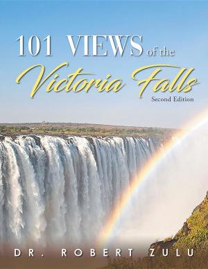 Cover of the book '101' Views of the Victoria Falls by Betty Gossell, Karen Pickens