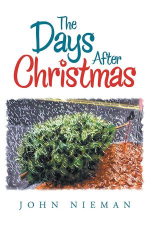 Cover of the book The Days After Christmas by Char Rutman