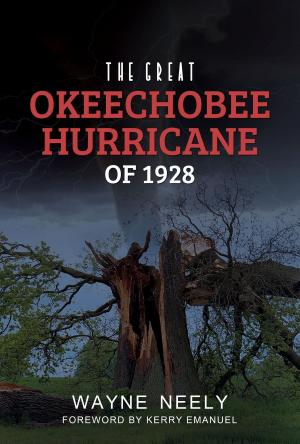 Cover of the book The Great Okeechobee Hurricane of 1928 by Lou Saulino
