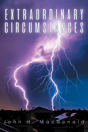 Cover of the book Extraordinary Circumstances by Nalini Juthani