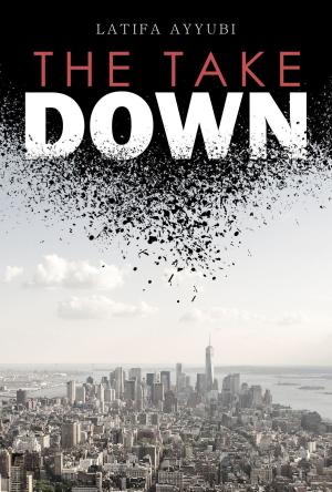 bigCover of the book The Take Down by 