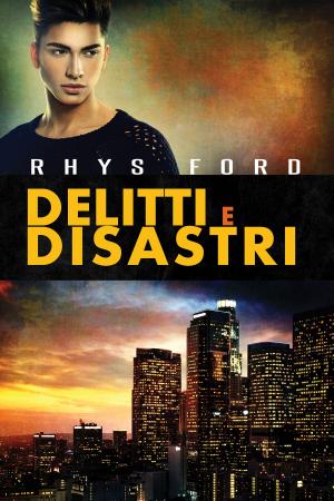 Cover of the book Delitti e disastri by E.F. Mulder