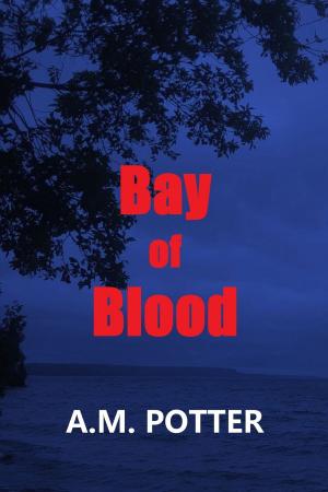 Cover of the book Bay of Blood by Michael Infinito