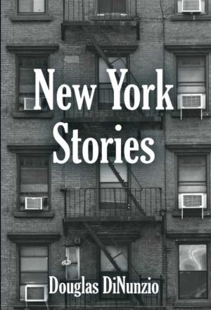 Cover of the book New York Stories by Anne Warren Smith