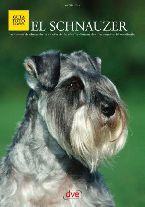 Cover of the book El Schnauzer by Silvio Renis
