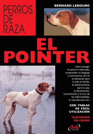 Cover of El pointer