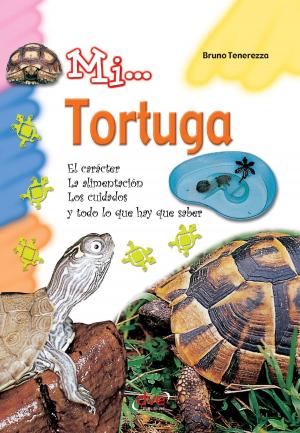 Cover of the book Mi... Tortuga by Costanza Caraglio