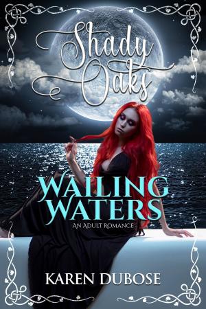 Cover of the book Wailing Waters by Stephanie Nichole