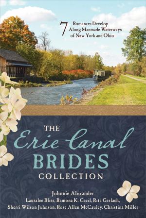 Book cover of The Erie Canal Brides Collection