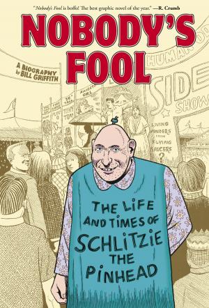 Book cover of Nobody's Fool
