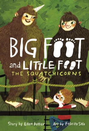 Book cover of The Squatchicorns (Big Foot and Little Foot #3)