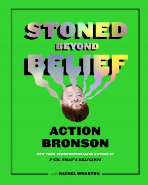bigCover of the book Stoned Beyond Belief by 