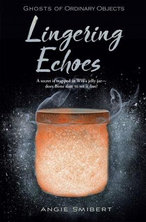 Cover of the book Lingering Echoes by Marty Kaminsky