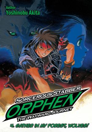 Cover of Sorcerous Stabber Orphen: The Wayward Journey Volume 4