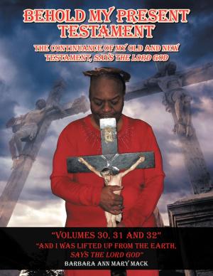 Cover of the book Behold My Present Testament Volumes 30, 31 and 32 by T. Montisé Peterson