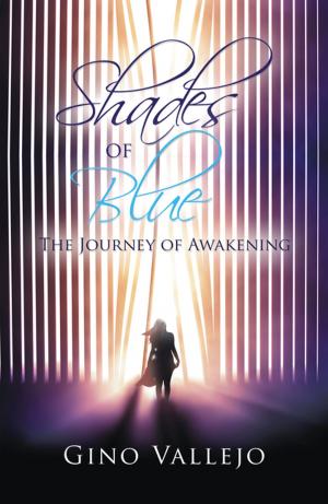 Cover of the book Shades of Blue by Bailey Berendsen