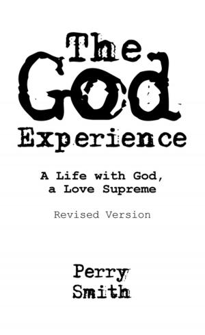 Cover of the book The God Experience by Pastor Sidney Edi-Osagie