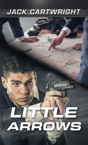 Cover of the book Little Arrows by Oche Otorkpa