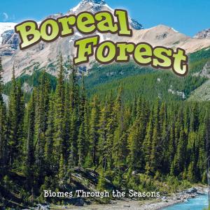 Cover of the book Seasons Of The Boreal Forest Biome by Robert Rosen