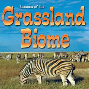 Cover of the book Seasons Of The Grassland Biome by Kay Robertson