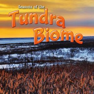 Cover of the book Seasons Of The Tundra Biome by Terri Fields