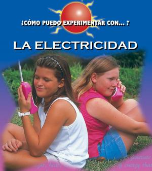 Cover of the book La electricidad by Meg Greve