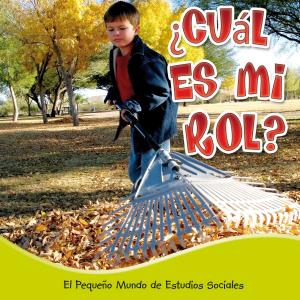 Book cover of ¿Cuál es mi rol?