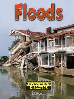 Cover of the book Floods by Karen Kenney