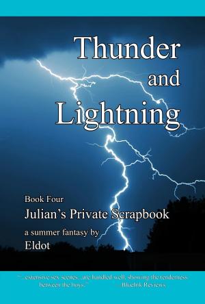 Cover of the book Thunder and Lightning by Michelle David