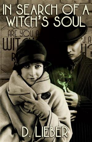 Cover of the book In Search of a Witch's Soul by Faith Wood