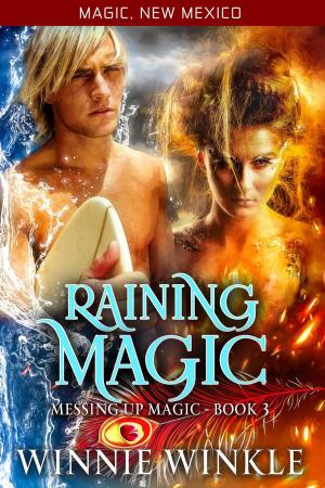 Cover of the book Raining Magic by A.B. Robinette