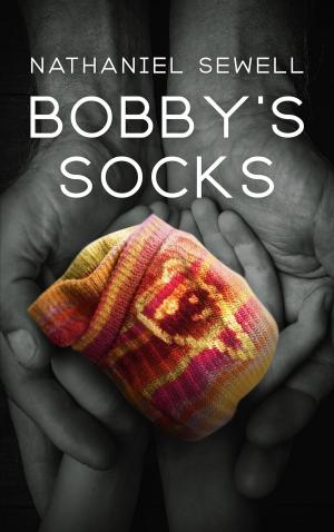 Book cover of Bobby's Socks