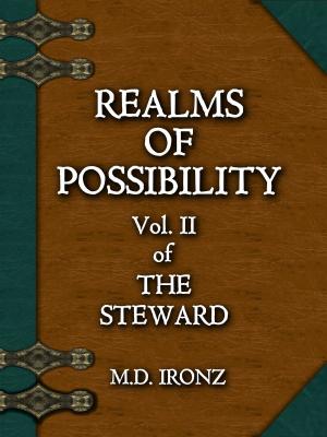 Cover of the book REALMS OF POSSIBILITY by Garrett Dennis