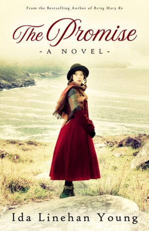 Cover of the book The Promise by Maura Hanrahan