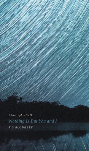 Cover of the book Apostrophes VIII by Robert Kroetsch