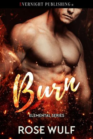 Cover of the book Burn by Sam Crescent