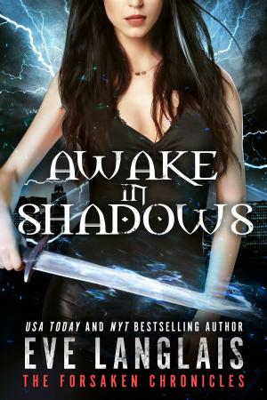 Cover of the book Awake in Shadows by K-lee Klein