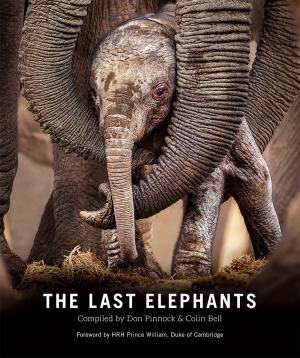 Cover of the book The Last Elephants by Chris Marais