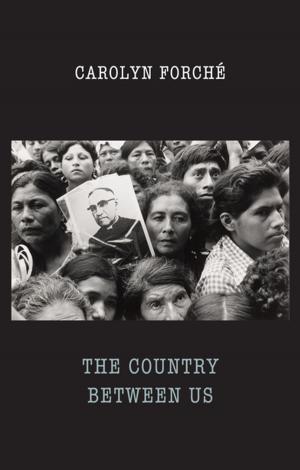 bigCover of the book The Country Between Us by 