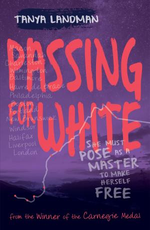 Cover of the book Passing for White by Daniel Turner, Gayle Skinner