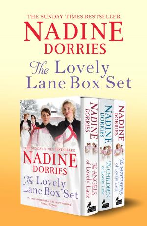 Cover of the book The Lovely Lane Box Set by Bea Uusma