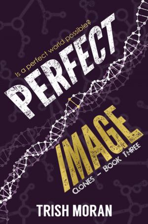 Cover of the book Perfect Image by Janie Millman
