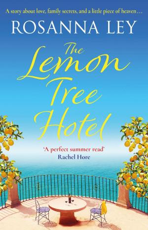 Cover of the book The Lemon Tree Hotel by Hywel Williams