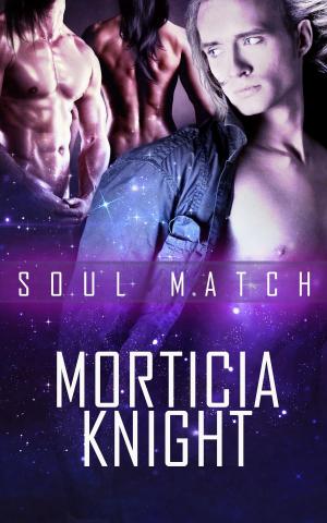 Cover of the book Soul Match: A Box Set: A Box Set by Angel Martinez