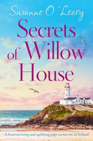 Book cover of Secrets of Willow House