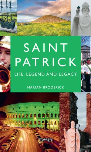 Cover of the book Saint Patrick by Brendan Boland, Darragh MacIntyre
