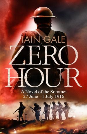 bigCover of the book Zero Hour by 