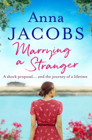 bigCover of the book Marrying a Stranger by 